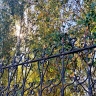 Метеоролог Александр Шувалов дал прогноз на 6-7 сентября в Тульской области