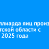 Полмиллиарда яиц произвели в Иркутской области с начала 2025 года