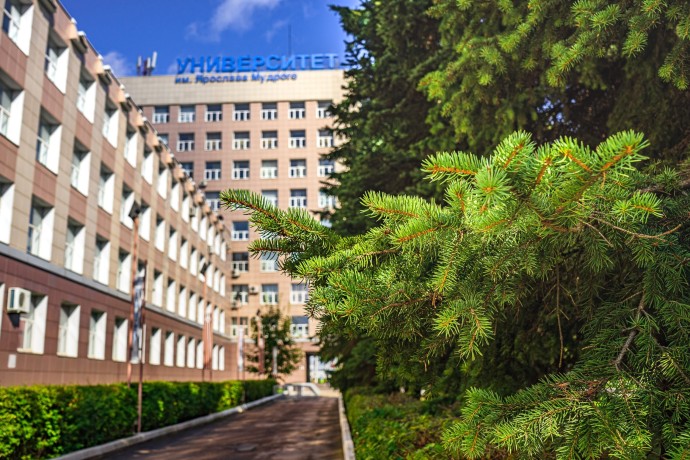 В НовГУ разработали прототип альтернативного биотоплива