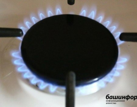 Россиян обяжут пускать газовщиков в квартиры