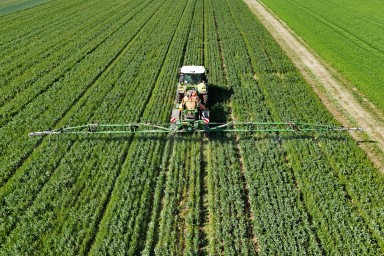 Яцкин: у Россельхознадзора ключевая роль в обеспечении качества сельхозпродукции