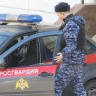 В Подмосковье росгвардейцы задержали мужчину, ограбившего магазин