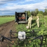 Химическая обработка борщевика в Ярославской области проведена на 1,5 тысячи гектаров земель