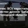 Источник: ВСУ нарастили количество дронов "Баба-яга" в Белгородской области