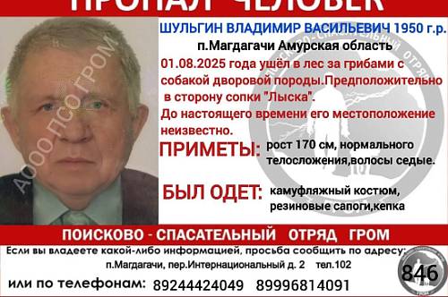 В Амурской области пропал пожилой грибник