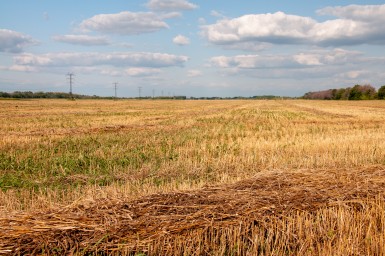 В России изменится процедура оценки стоимости изъятых сельхозземель