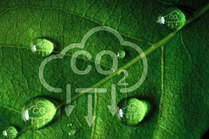 Германия — CO₂–таймер тикает: ученые объявили обратный отсчет