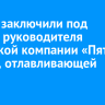 В Чите заключили под стражу руководителя иркутской компании «Пять звезд», отлавливающей собак