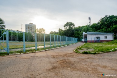 У стадиона «Локомотив» убрали аварийные деревья и дикую поросль