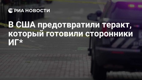 В США предотвратили теракт, который готовили сторонники ИГ*