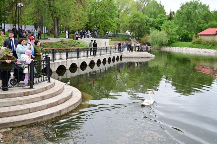 В Сад Аксакова в Уфе вернулись лебеди