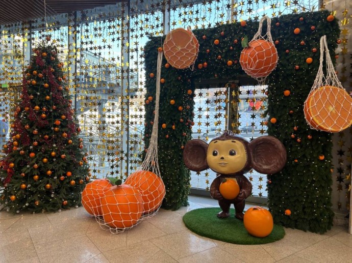 Мандариновое чудо: обзор главного новогоднего фрукта во Владивостоке