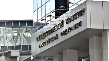 СК возбудил дело в отношении автора интервью Лизы Миллер о легализации