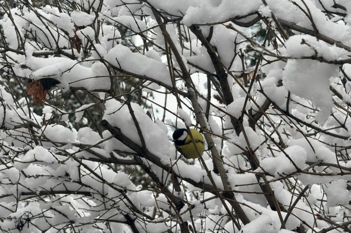 Техника расчищает Подмосковье от снега 5 января