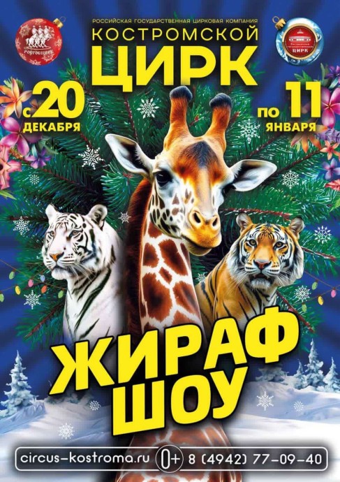 «Жираф-шоу, тигры, ловкие козлики»: костромичей приглашают на новую программу в цирке «Жираф-шоу, тигры, ловкие козлики»: костромичей приглашают на новую программу в цирке