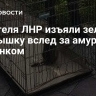 У жителя ЛНР изъяли зеленую мартышку вслед за амурским тигренком