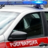 На Сахалине дебошир оказал сопротивление полицейским — вмешались росгвардейцы