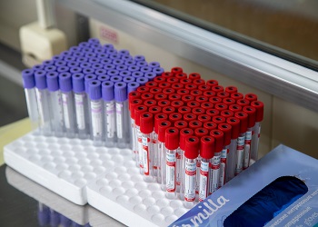 «Донорская суббота» пройдет в Благовещенске «Донорская суббота» пройдет в Благовещенске