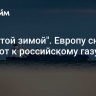 "Уже этой зимой". Европу снова толкают к российскому газу