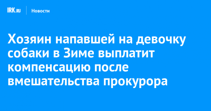 Хозяин напавшей на девочку собаки в Зиме выплатит компенсацию после вмешательства прокурора