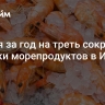 Россия за год на треть сократила покупки морепродуктов в Индии