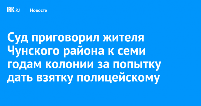 Суд приговорил жителя Чунского района к семи годам колонии за попытку дать взятку полицейскому