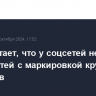 РКН считает, что у соцсетей не будет сложностей с маркировкой крупных пабликов