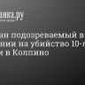 Задержан подозреваемый в покушении на убийство 10-летней девочки в Колпино