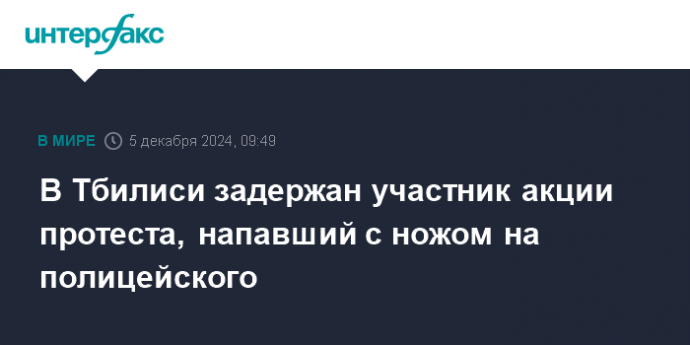 В Тбилиси задержан участник акции протеста, напавший с ножом на полицейского