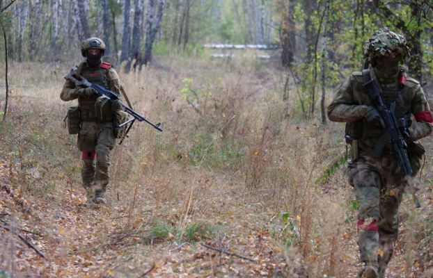 В белорусском приграничье с Украиной в поисках диверсантов участвуют местные жители