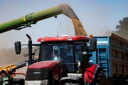 Европейским фермерам посоветовали отказаться от выращивания зерна из-за Украины