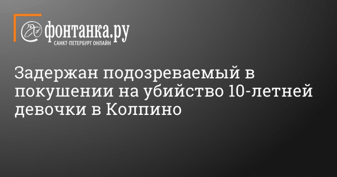 Задержан подозреваемый в покушении на убийство 10-летней девочки в Колпино