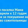 Жителя поселка Мама приговорили к 12 годам колонии за покушение на убийство сожительницы