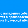 20 дел о нападении собак находятся в производстве Следкома Иркутской области