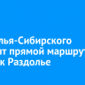 Из Усолья-Сибирского запустят прямой маршрут в поселок Раздолье