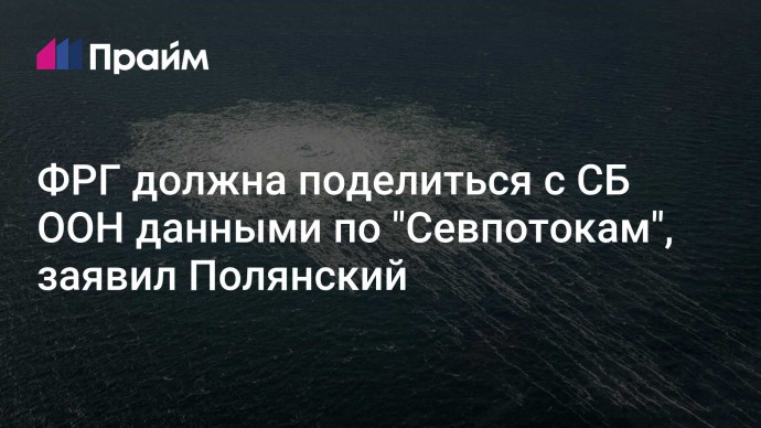 ФРГ должна поделиться с СБ ООН данными по "Севпотокам", заявил Полянский