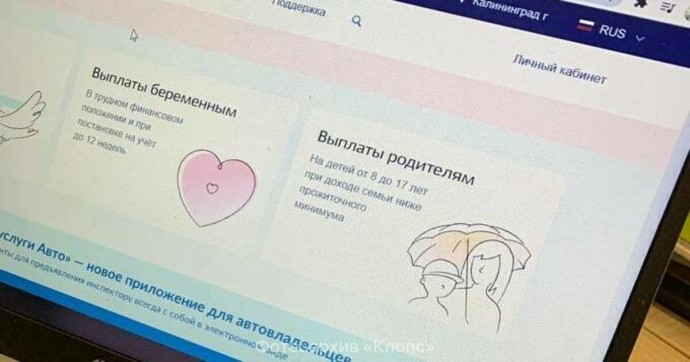Власти рассказали, какие госуслуги были популярны у калининградцев в 2024 году