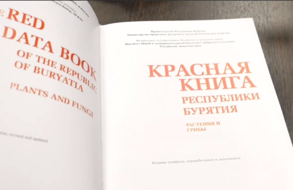 Вышло четвёртое издание Красной книги Бурятии