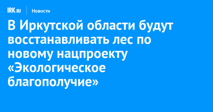 В Иркутской области будут восстанавливать лес по новому нацпроекту «Экологическое благополучие»