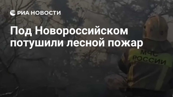 Под Новороссийском потушили лесной пожар