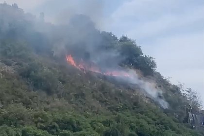 Лесной пожар вспыхнул рядом с отелем в Крыму и попал на видео