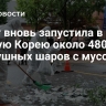 КНДР вновь запустила в Южную Корею около 480 воздушных шаров с мусором