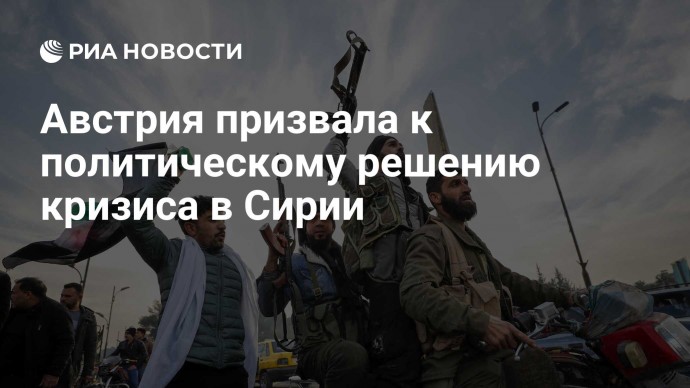 Австрия призвала к политическому решению кризиса в Сирии