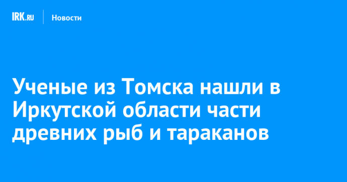 Ученые из Томска нашли в Иркутской области части древних рыб и тараканов