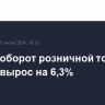 В июне оборот розничной торговли России вырос на 6,3%