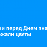 В России перед Днем знаний подорожали цветы