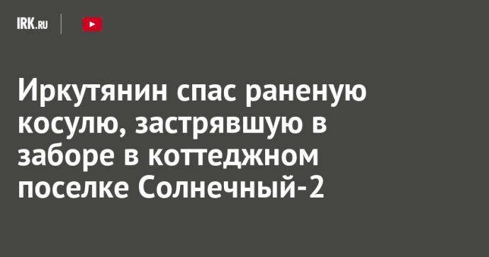 Иркутянин спас раненую косулю, застрявшую в заборе в коттеджном поселке Солнечный-2