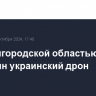 Над Белгородской областью сбит еще один украинский дрон