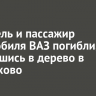 Водитель и пассажир автомобиля ВАЗ погибли, врезавшись в дерево в Черемхово