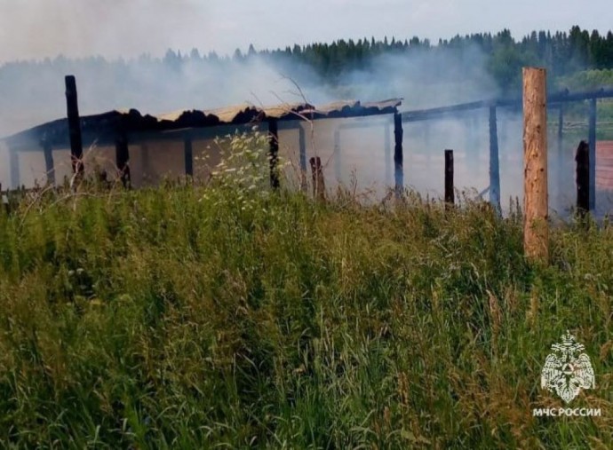 В Томской области при пожаре пострадала 13-летняя девочка